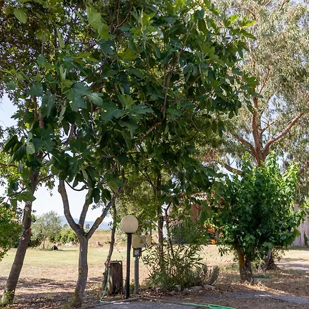 Διαμέρισμα I Gelsi Marina di Grosseto